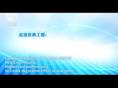 Système intégré décoratif et économiseur d'énergie de Joaboa extérieur en céramique de revêtement